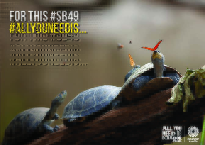 All You Need Is Ecuador
