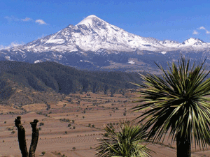 Mexico Tours