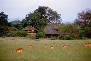 Basecamp Masai Mara