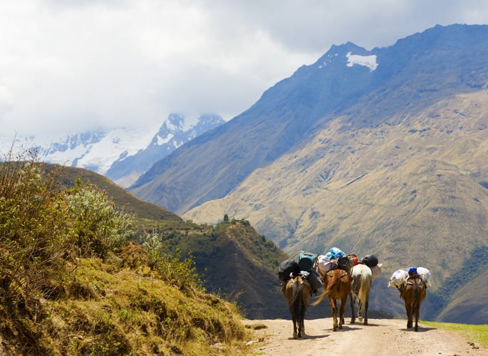 bigstock-On-The-Road-In-Andes-4291329