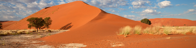 red-dune-landscape