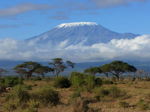 Mt Kilimanjaro