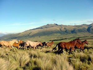 Ecuador