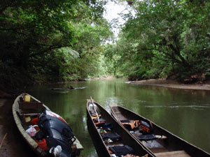 Huaorani