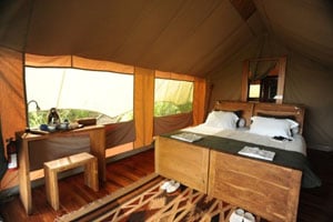 Galapagos Safari Camp Tent