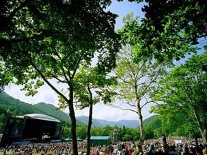 Fuji Rock Festival