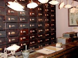 The Museum of Vietnamese Traditional Medicine