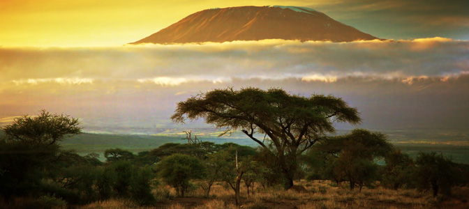 Kilimanjaro