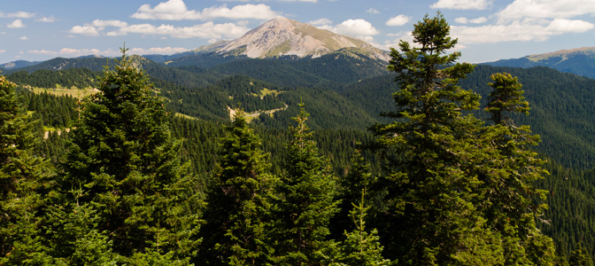 Ilgaz Mountains