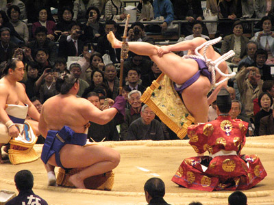 Sumo Wrestlers