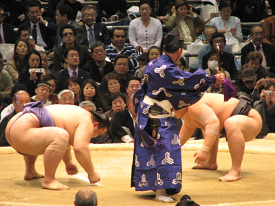 Sumo Wrestlers