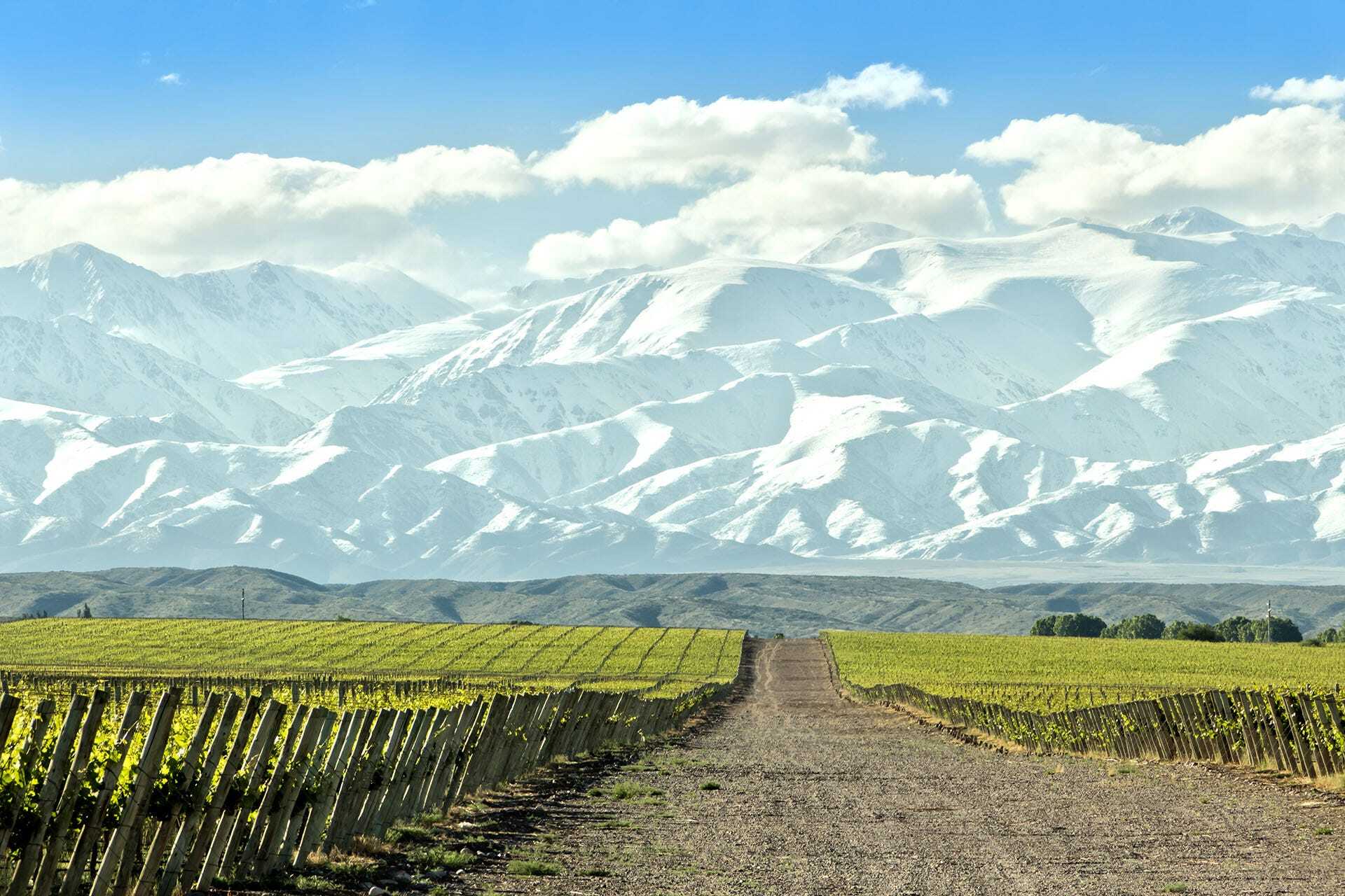 01_24_mendoza_travel_hero_gettyimages-465615062_1920x1280