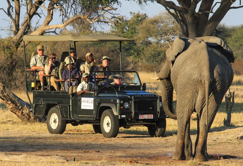 106 - Imvelo Safari Lodges - Camelthorn - Hwange Elephant are renowned for their good nature-1