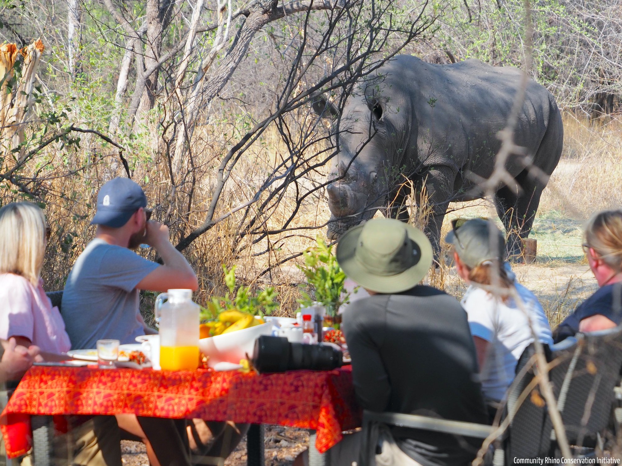 22.11.05 CRCI Imvelo Safari Lodges Fam Trip Rhino Breakfast - Watching game (1)