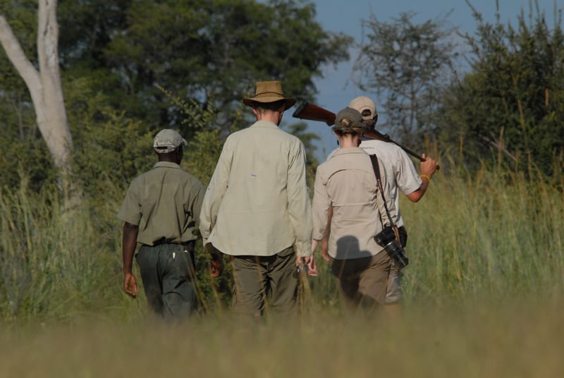 Zambezi Sands - Great country to walk with our pro guides