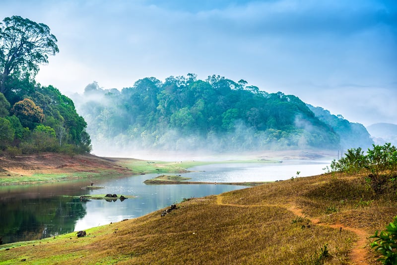 Beautiful-Landscape-With-Wild