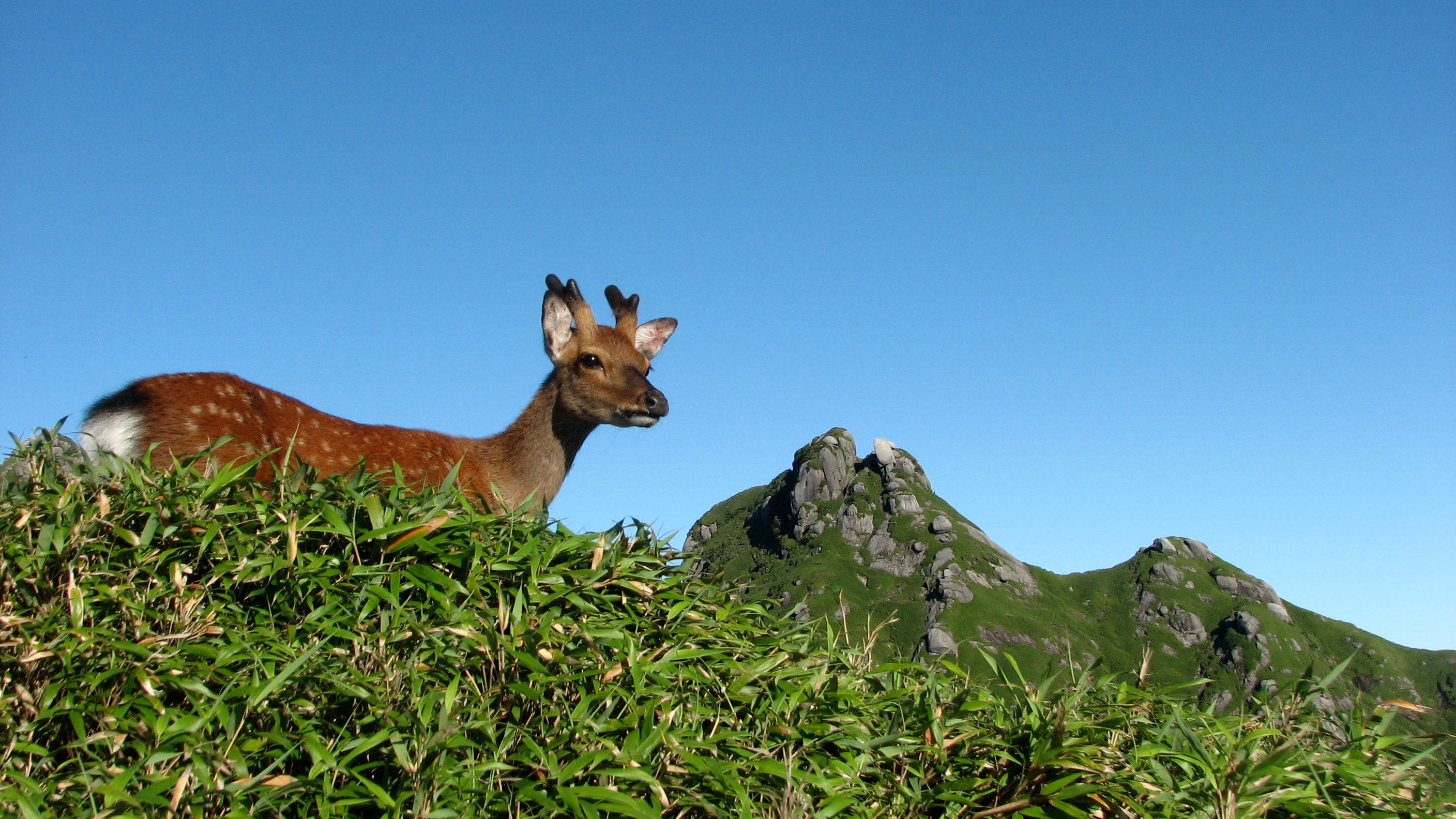 Best Hikes in Japan_Image#9