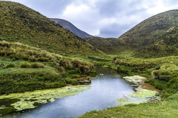 Cotopaxi National Park