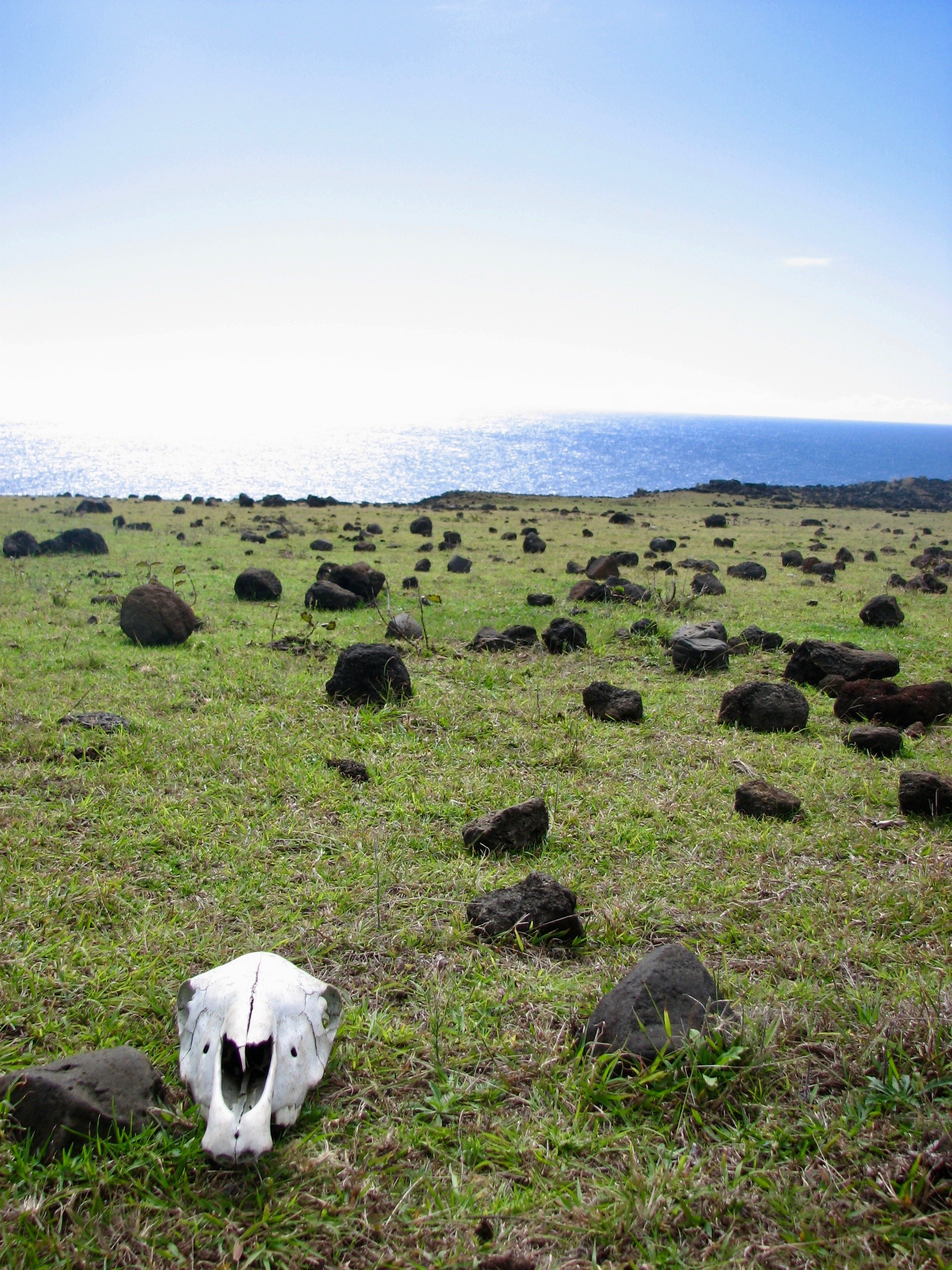 Easter Island Highlights_Image#5