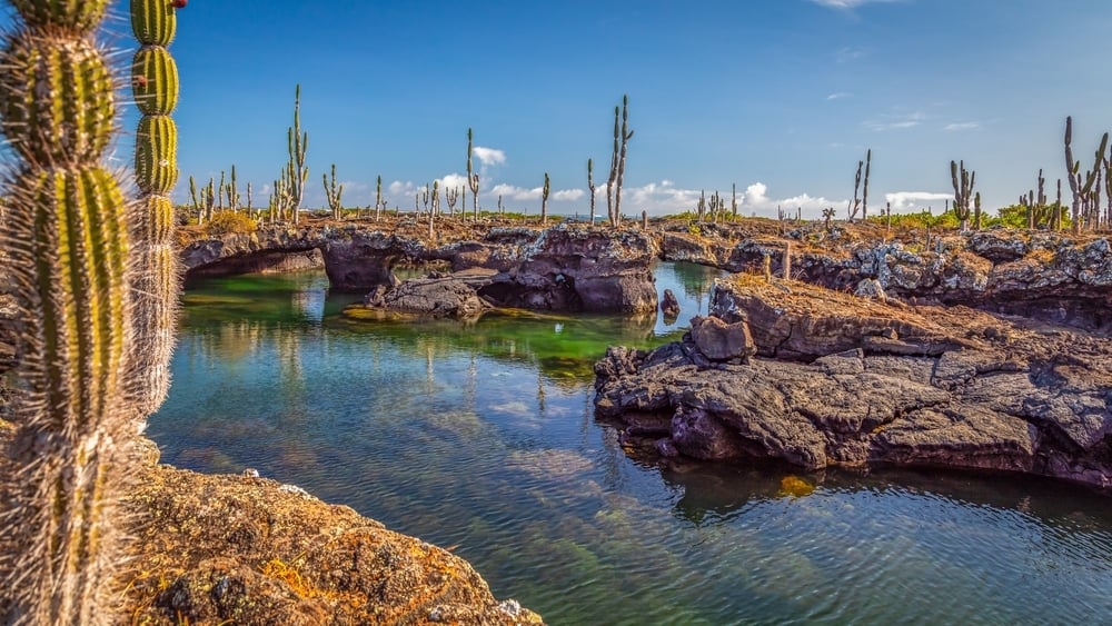 Experience the unique landscape when you visit the Galapagos Islands