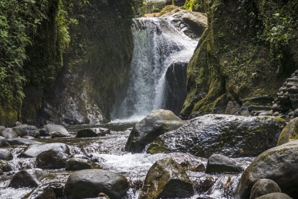 Mindo Cloud Forest