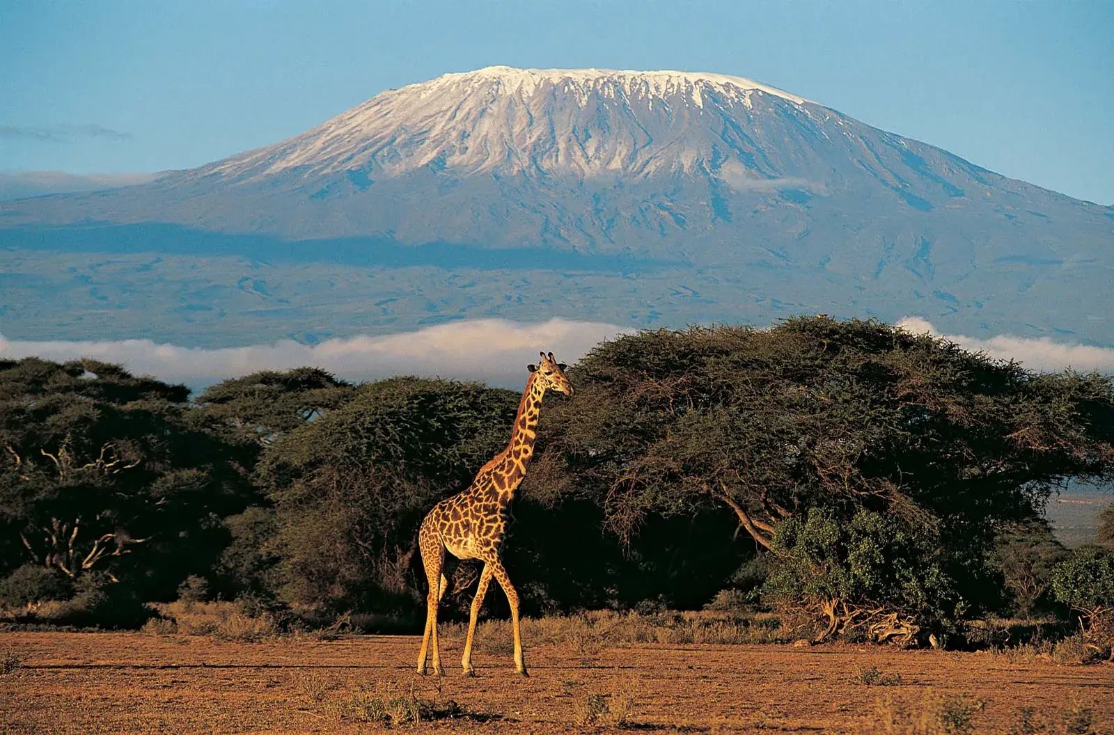 mount-kilimanjaro