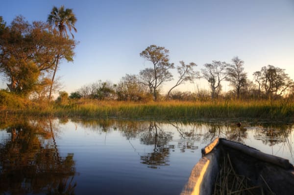 Okavanga Delta