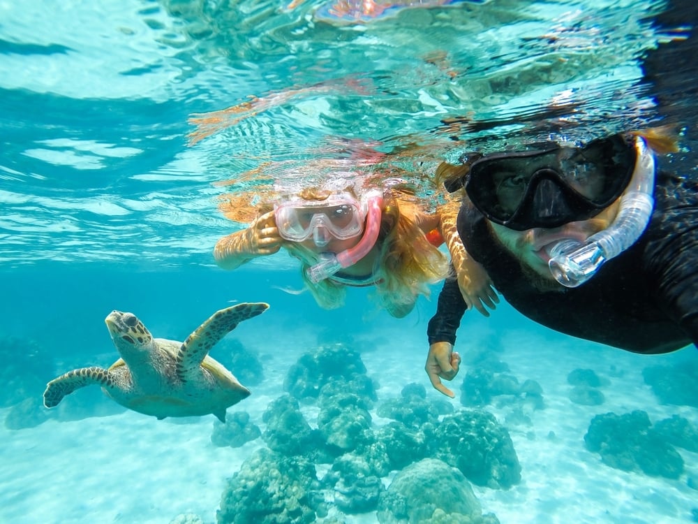 Snorkelers visit the Galapagos Islands