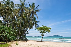 Tamarindo Beach Landscape