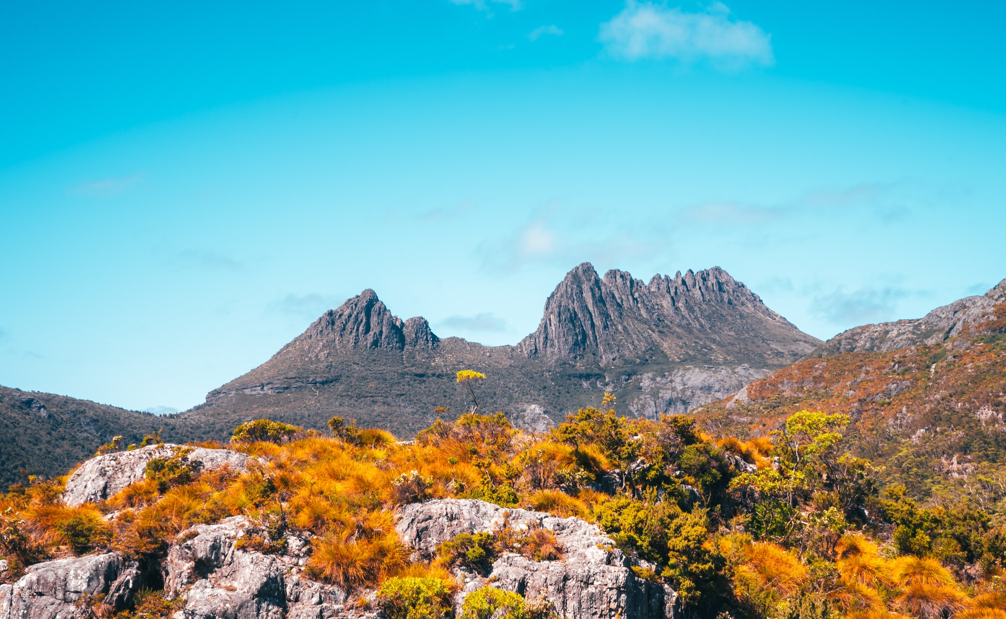 Tasmania-Cradle Mountain