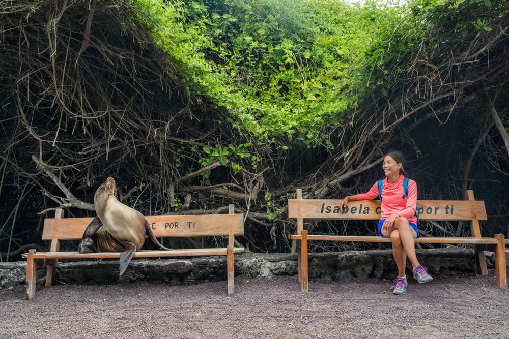Tourist visiting the Galápagos Islands on a bench with a sea lion