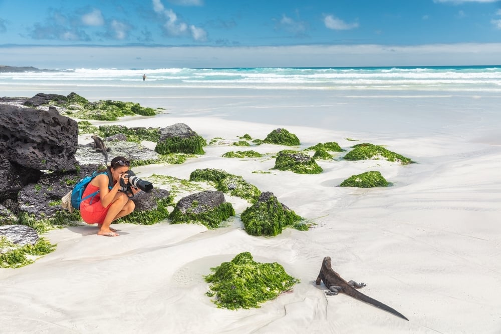 Visit the Galapagos Islands with sustainable tourism