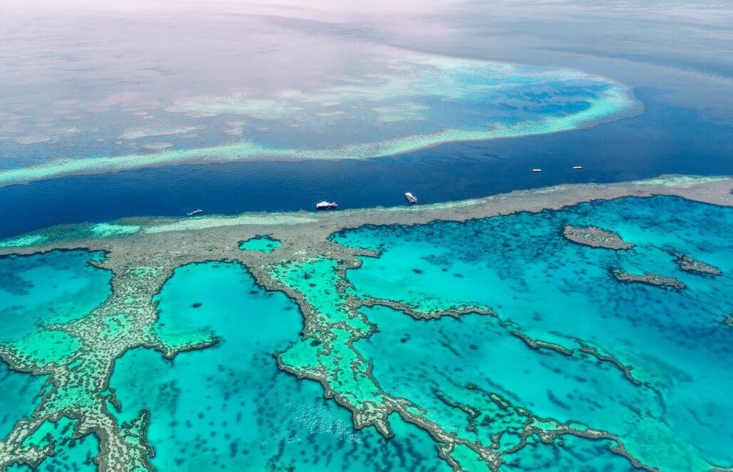 article-how-you-can-save...eef-in-australia-01
