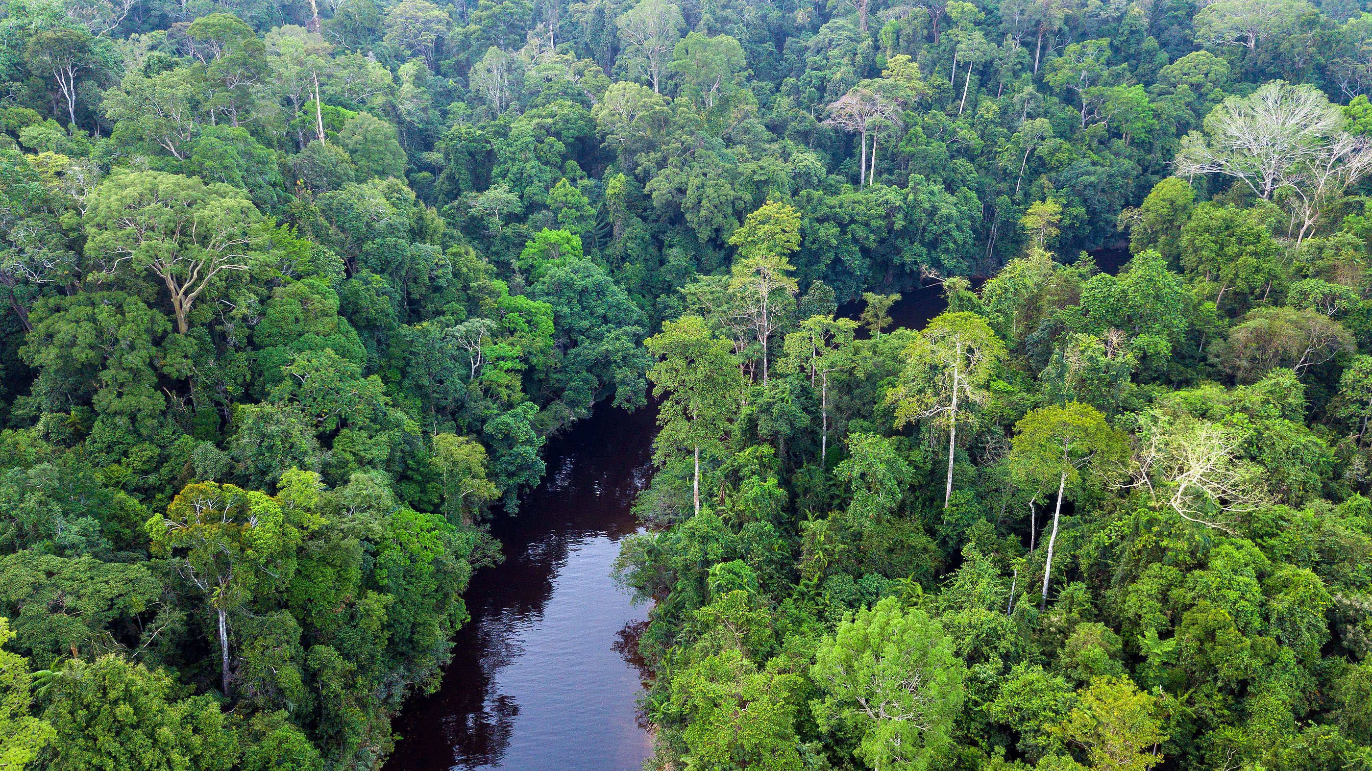 bigstock-Aerial-view-of-the-Taman-Negar-241024918