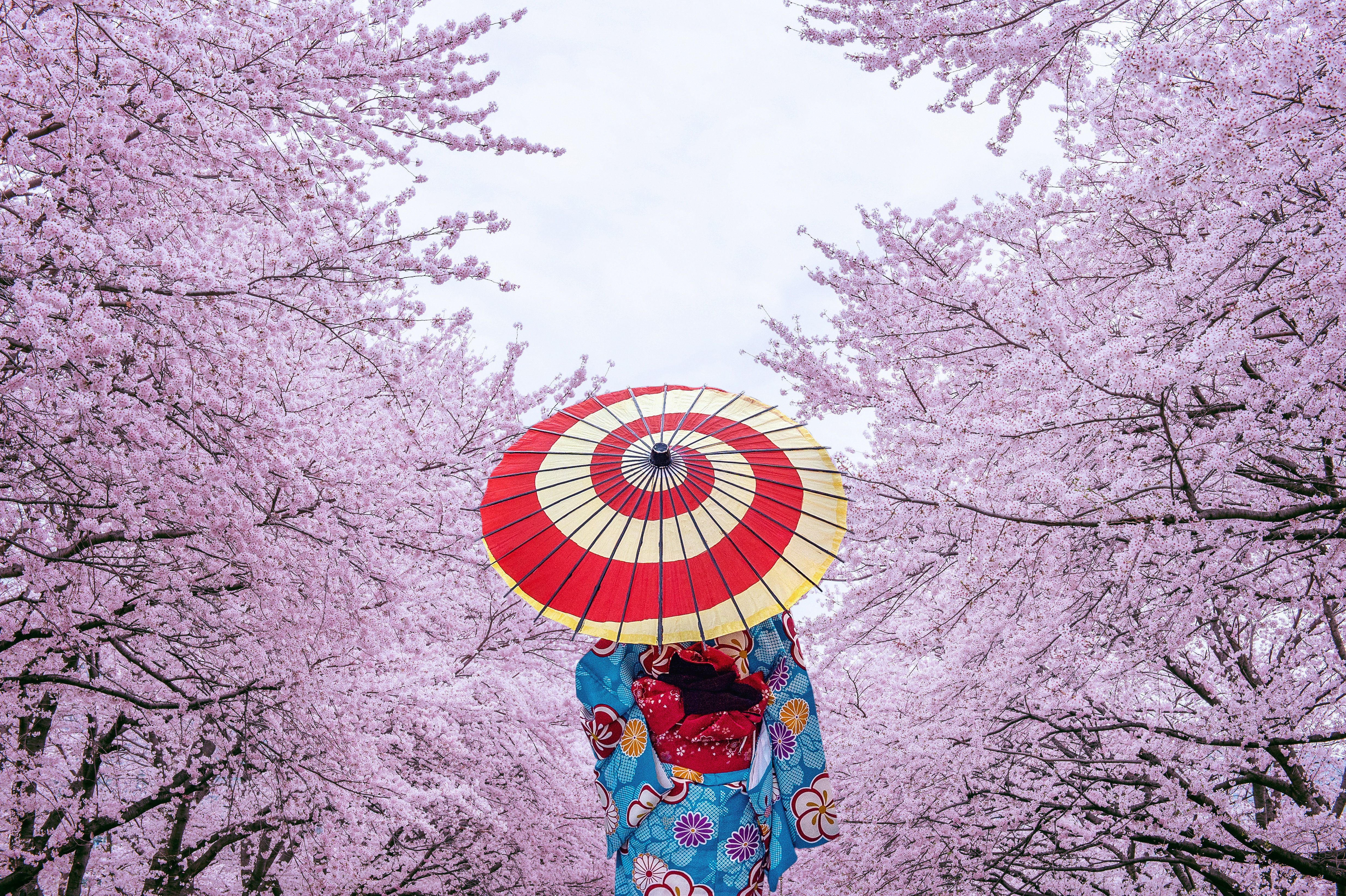 bigstock-Asian-Woman-Wearing-Japanese-T-280648582