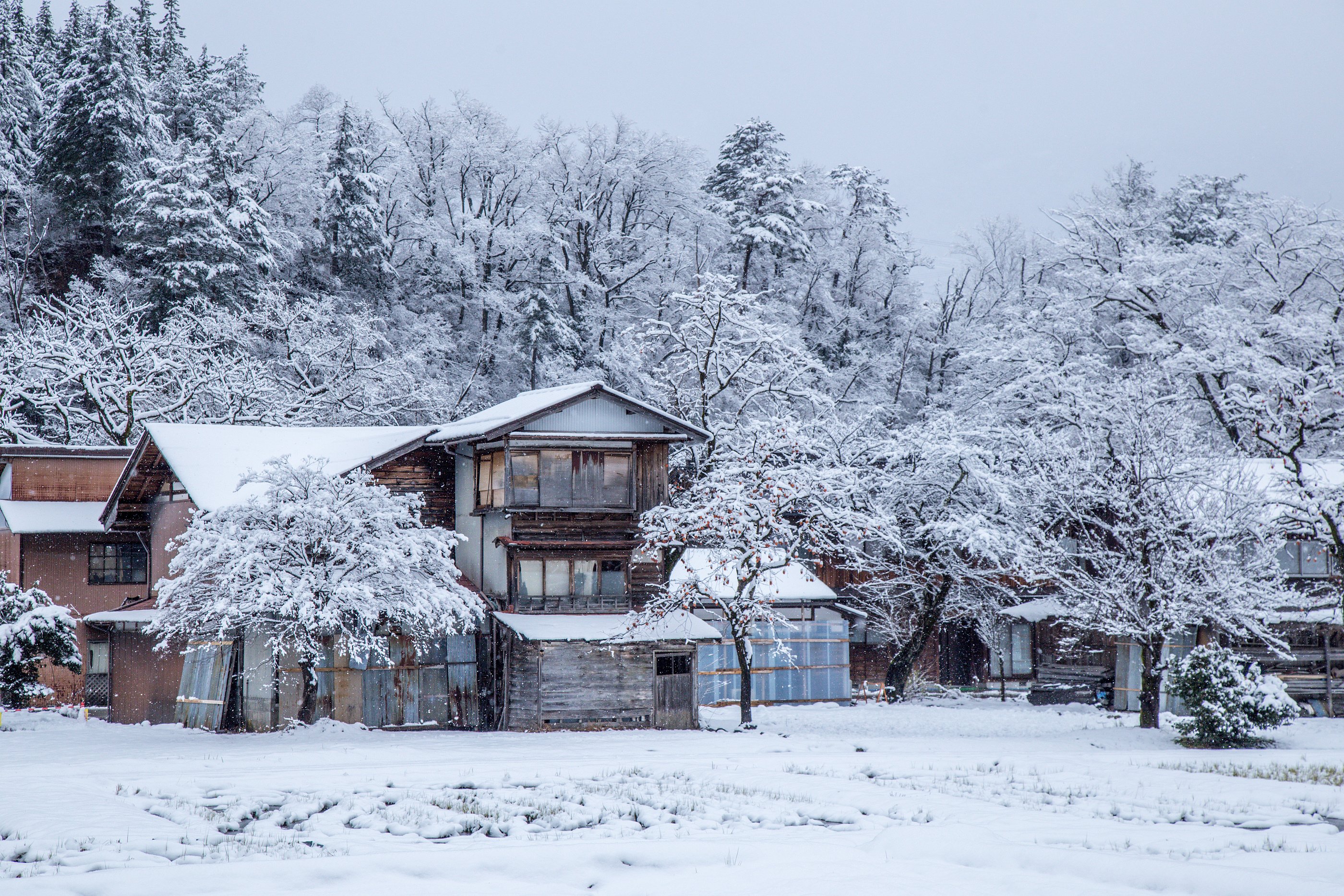 bigstock-Gifu-Japan--December-----276376336