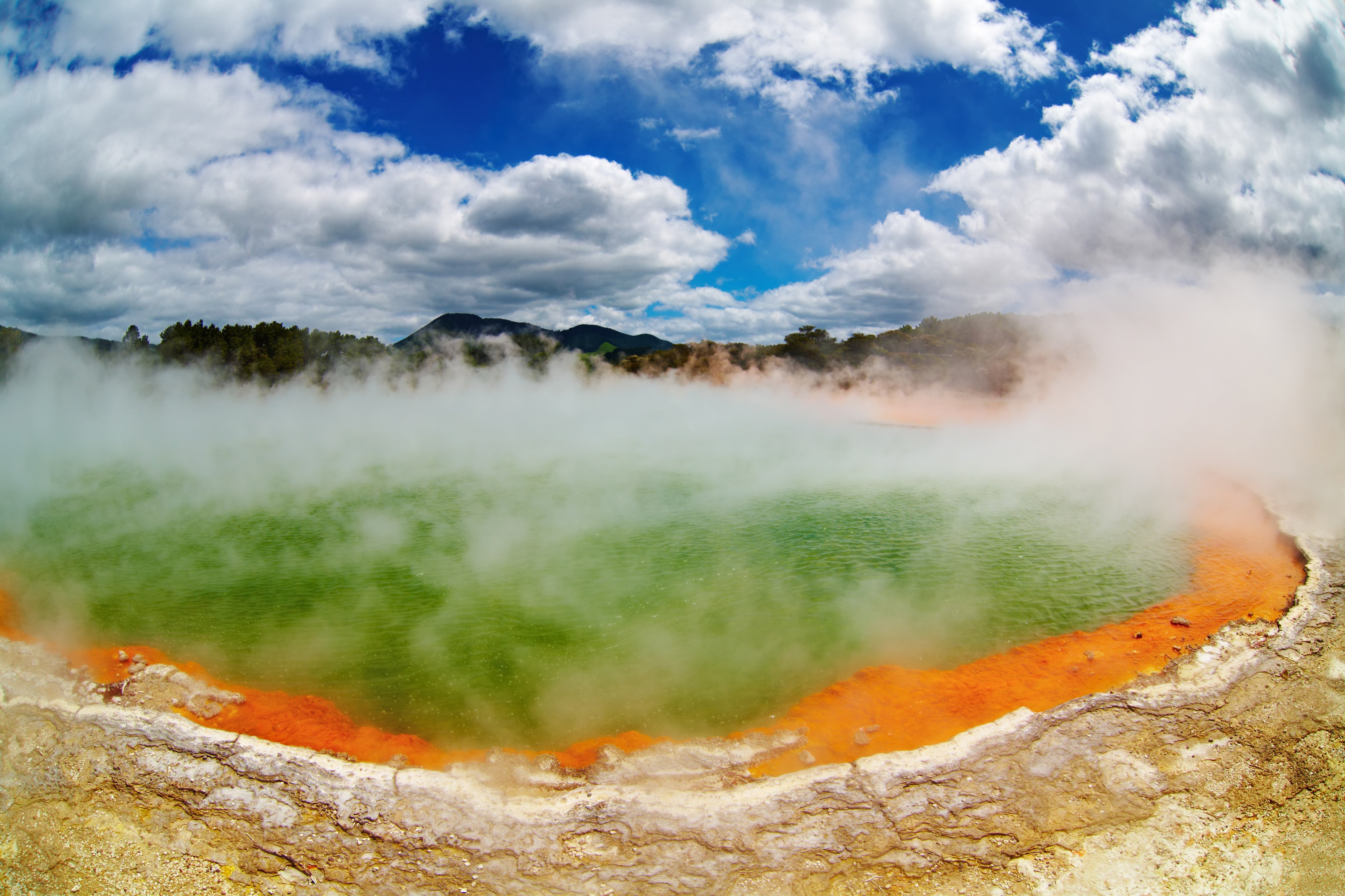 bigstock-Hot-Thermal-Spring-New-Zealan-7273521