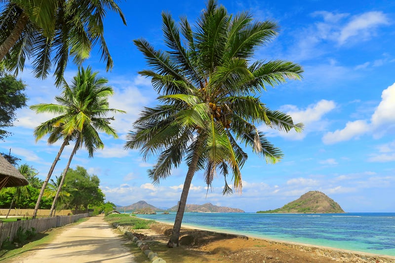 bigstock-Sandy-Road-Along-The-Ocean-Coa-275601646