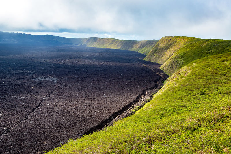 trips to the galapagos