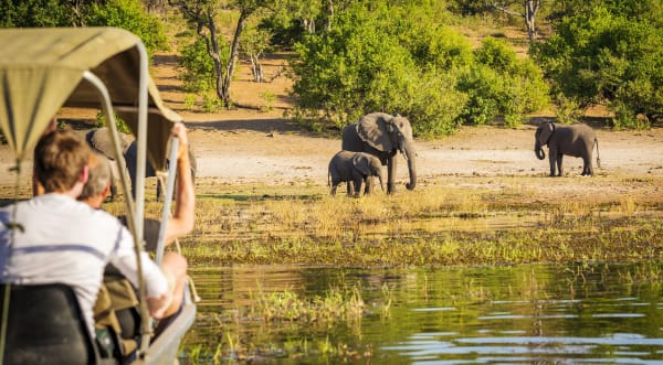 elephant-wildlife-boat-people-game-drive-15376