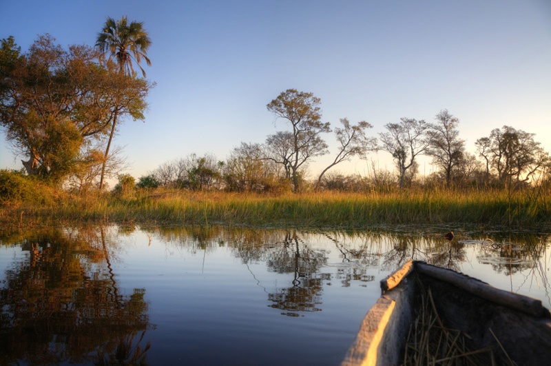Botswana-Safari-Camp---Okavango-Delta