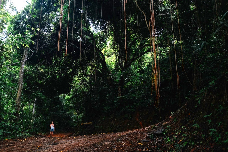 Costa Rica Tours - Hike through Corcovado National Park