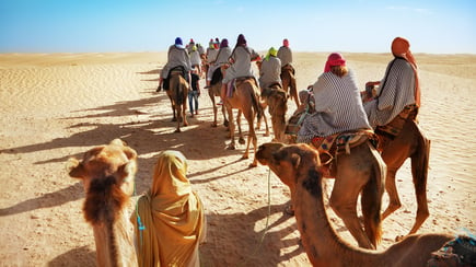 camels-large-sahara-desert-1.jpeg