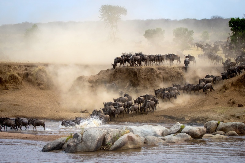 tanzania-safari-1