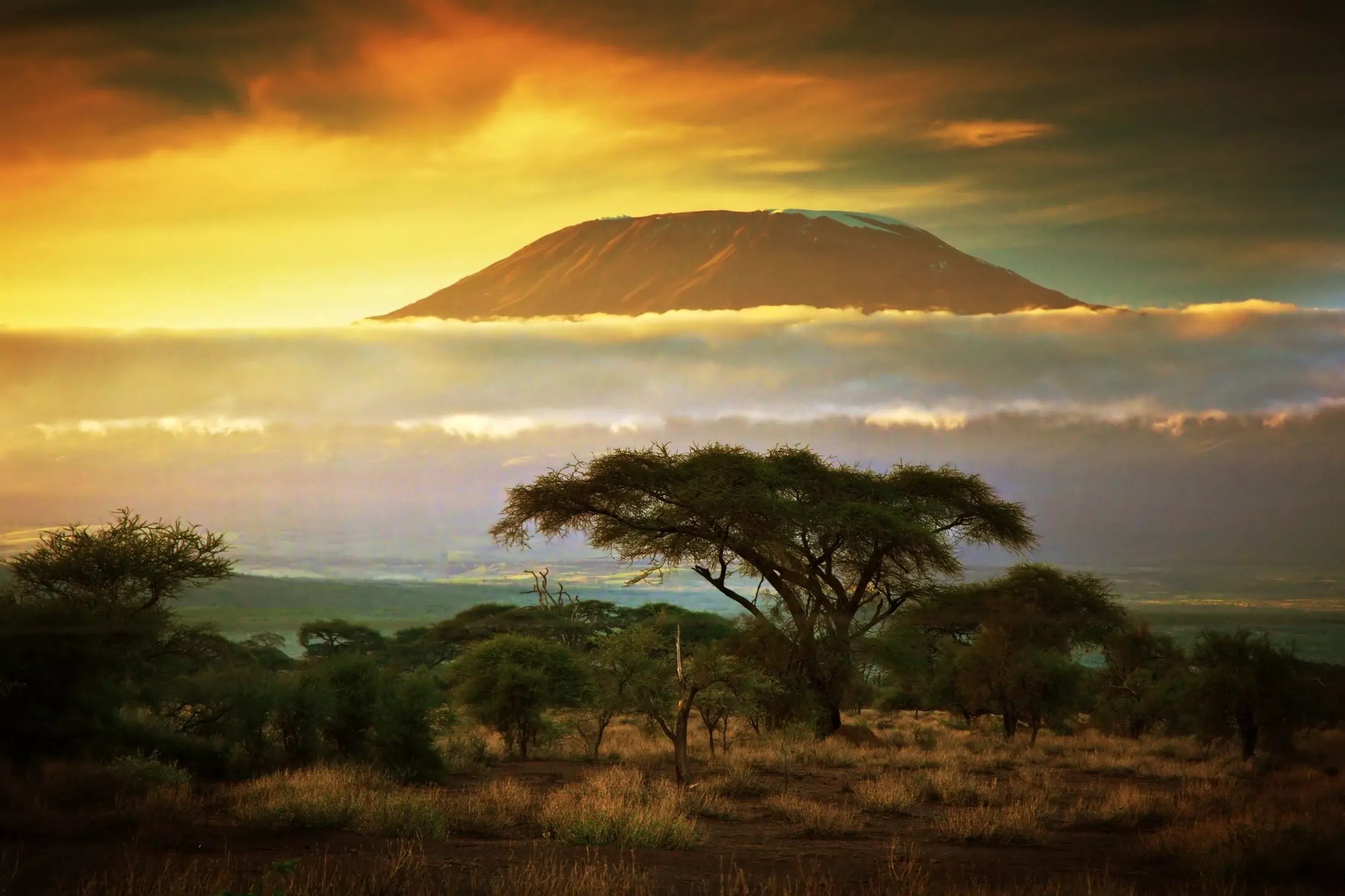 kilimanjaro-landscape-sunset-15082-1