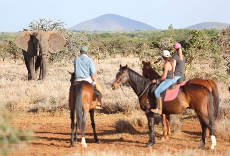 lewa-wilderness-lodge-17695