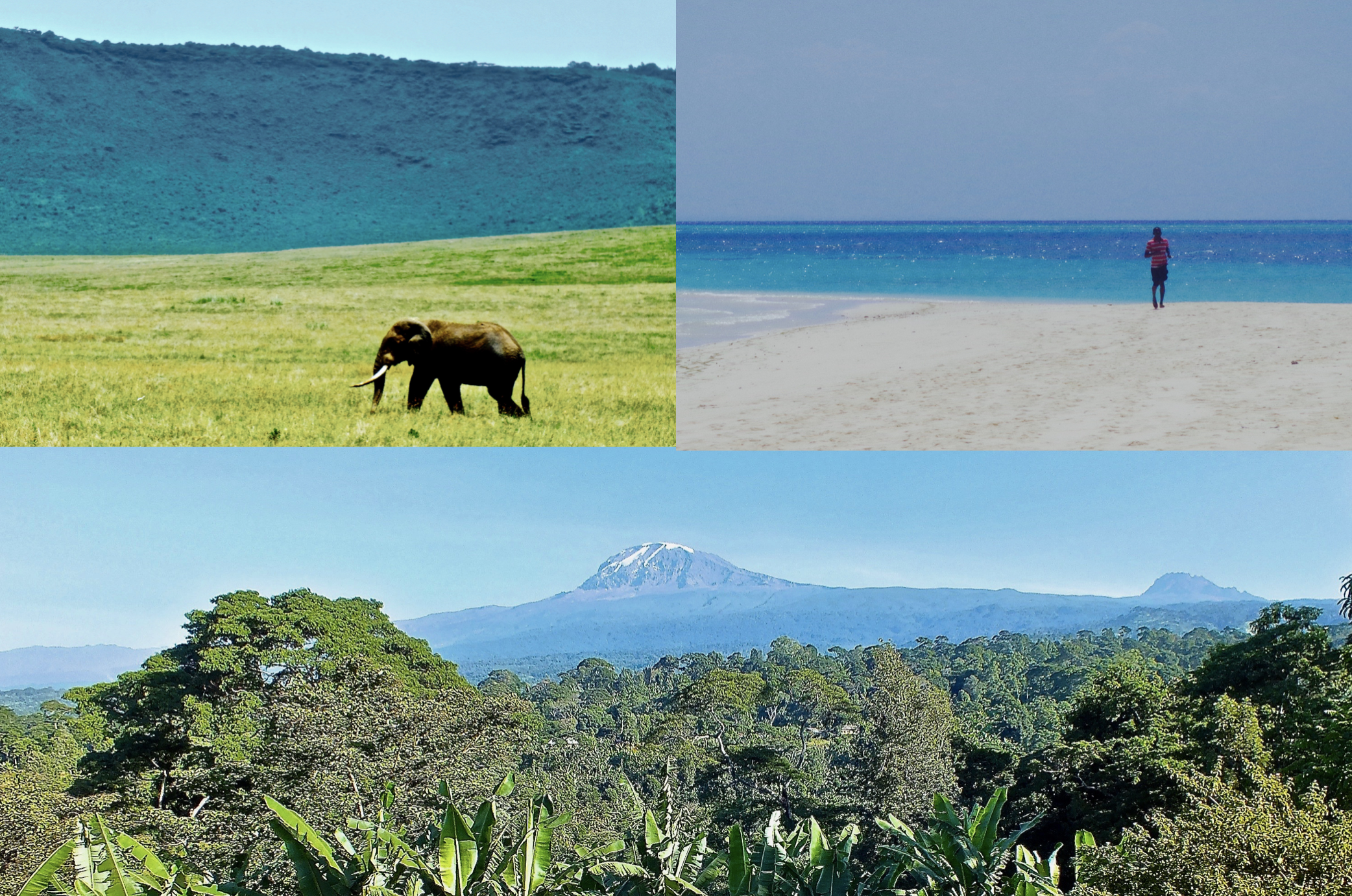 safaris-Zanzibar-Kili-Tanzania.jpg