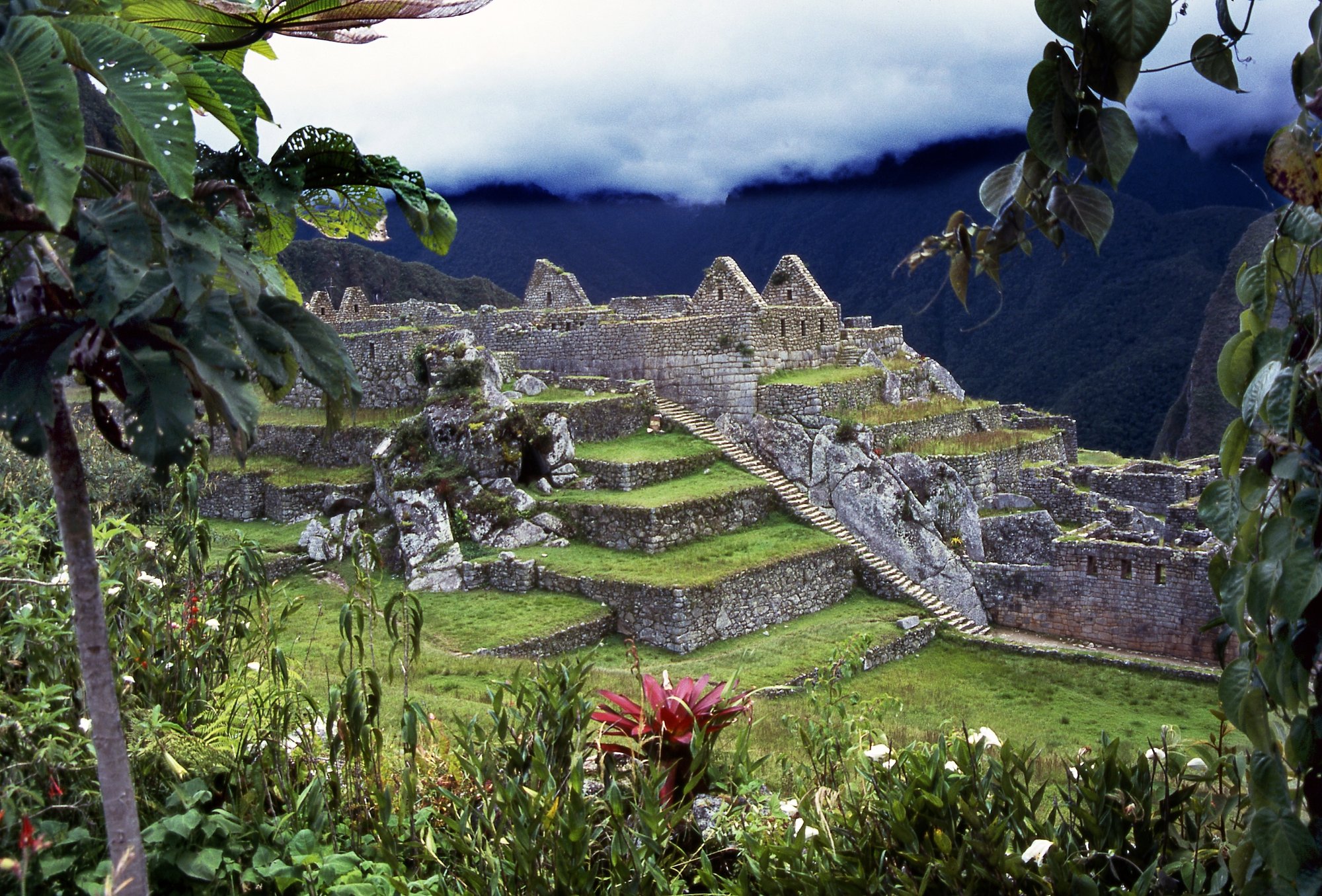 Ruins and vegetation at Machu Picchu