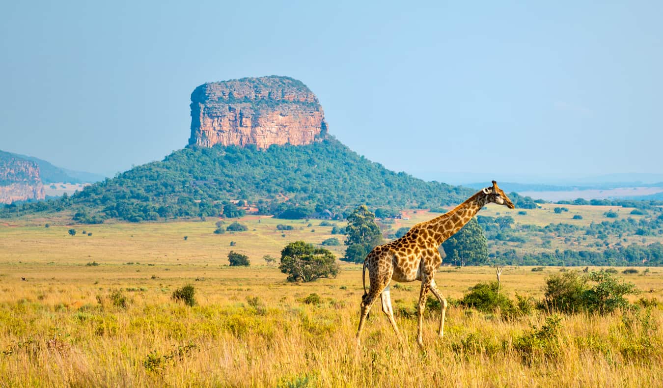 southafricathings