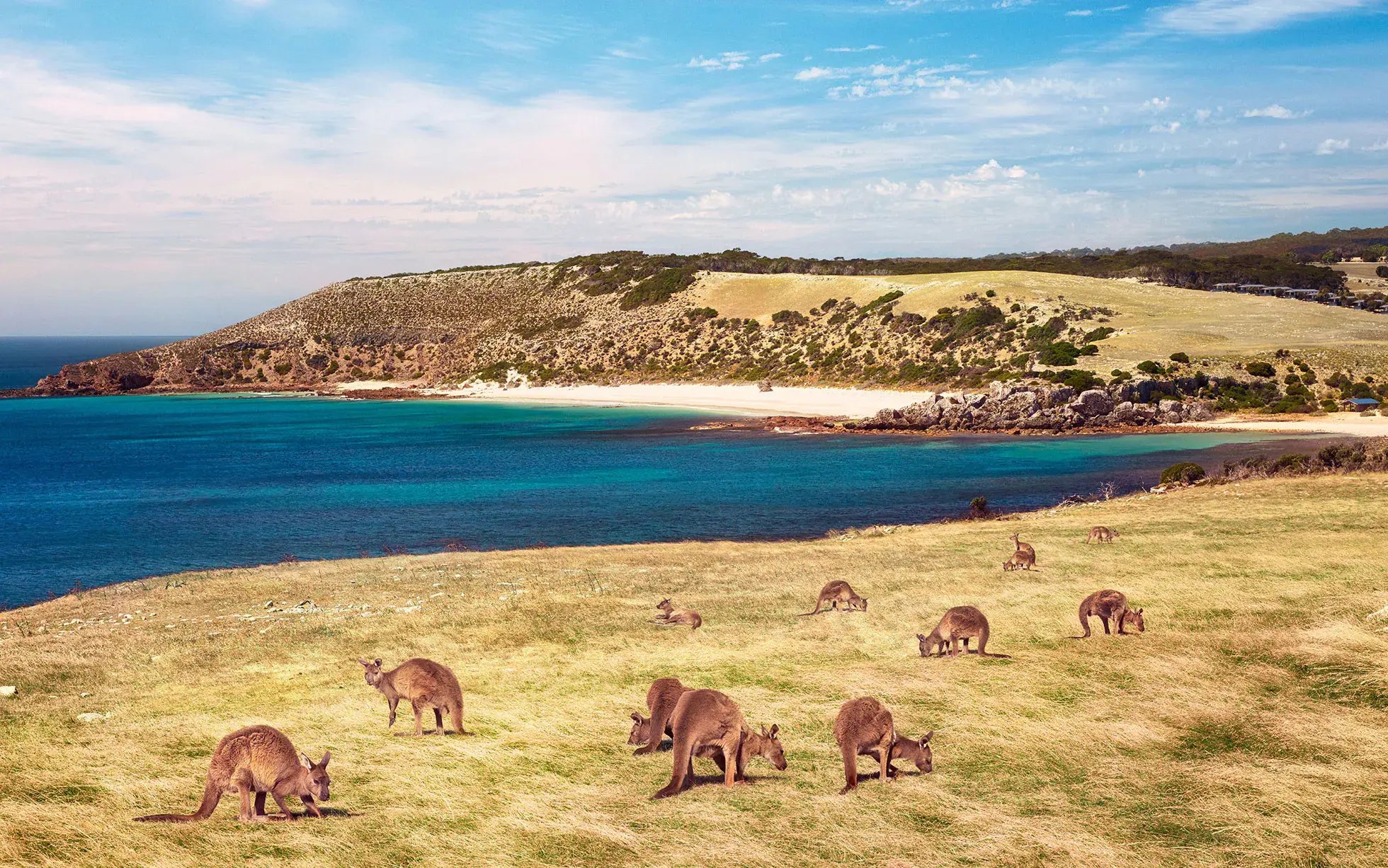 stokes-bay-kangaroo-island-credit-south-australian-tourism-commission